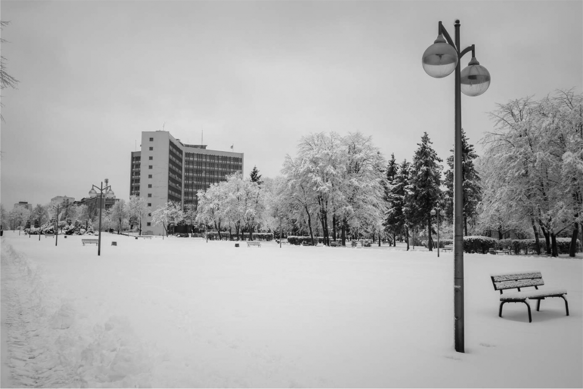 Park Miejski z Urzędem Miasta w tle zimą Autor: Piotr Podsiadły
