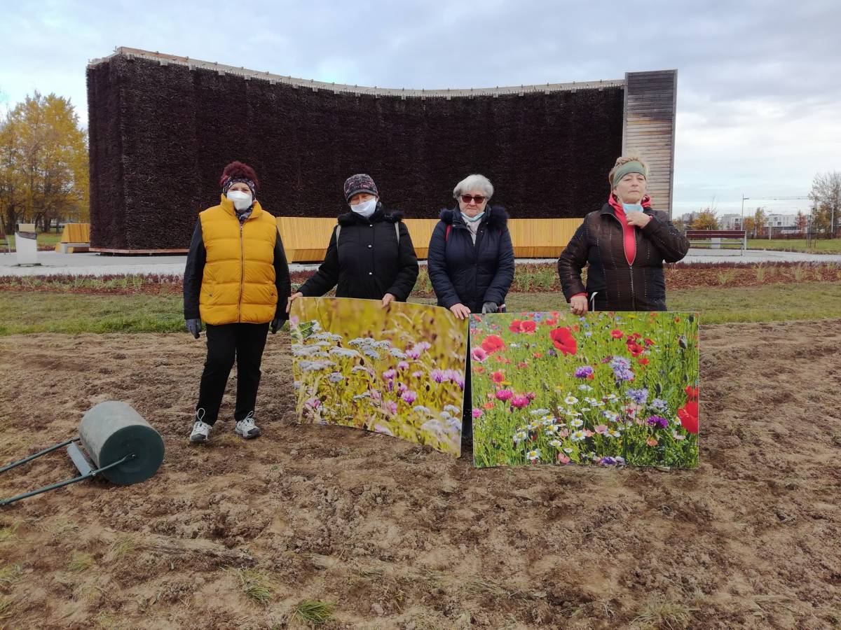 Zdjęcie tyskich seniorek na terenie koło tężni, gdzie powstanie łąka kwietna. Seniorki trzymają plansze ze zdjęciami łąk kwietnych.