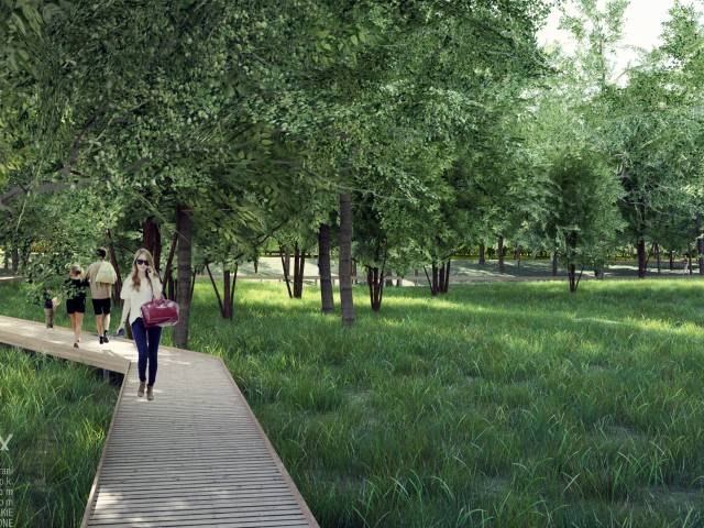 Ścieżka drewniana - wizualizacja koncepcji zagospodarowania Parku Północnego
