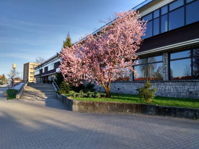 Dzień Dziecka z Teatrem Małym