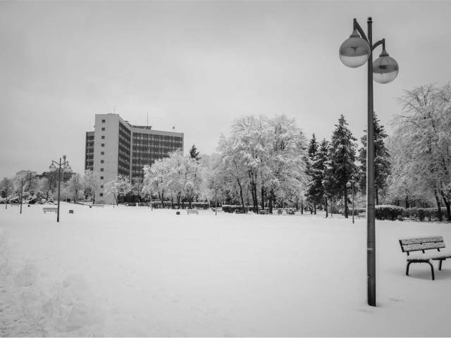 Park Miejski z Urzędem Miasta w tle zimą