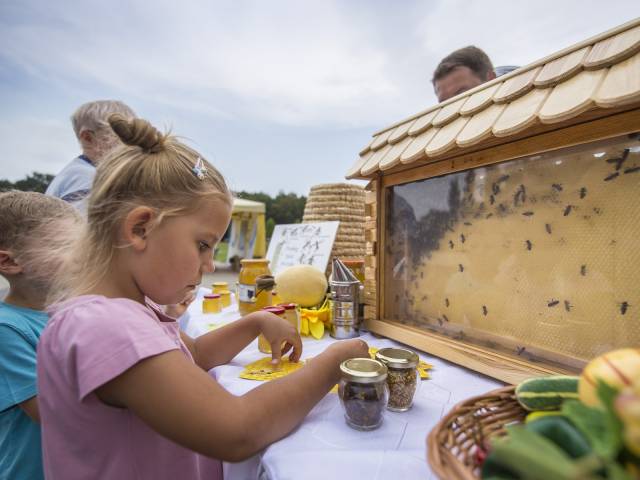 Dzieci podczas warsztatów z pszczelarzem