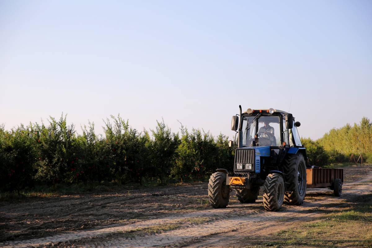 Zdjęcie przedstawiające pole i jadący obok traktor.