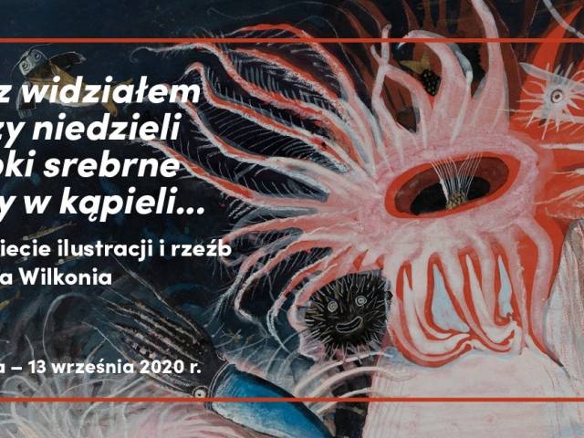 „Raz widziałem przy niedzieli rybki srebrne trzy w kąpieli…”