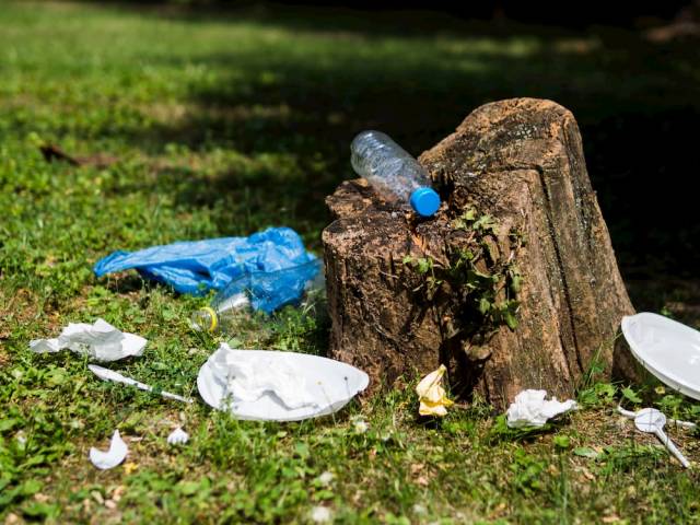 Zdjęcie plastikowych śmieci na trawniku przy pniu wyciętego drzewa.