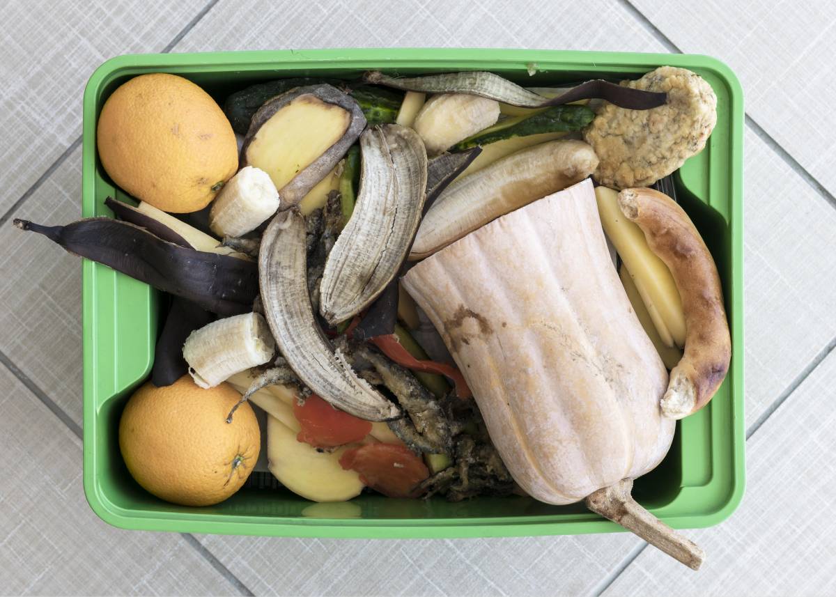 Zdjęcie kosza na odpady bio-kuchenne, pełnego odpadków warzywnych.