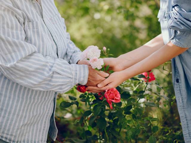 Widok trzymających się dłoni seniora i młodej osoby w tle kwiaty róży