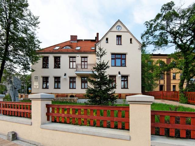 Pająki ludowe – lokatorzy podsufitowych przestrzeni