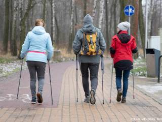 Seniorzy na terenie OW Paprocany na zajęciach z nordic walking Autor: Piotr Podsiadły