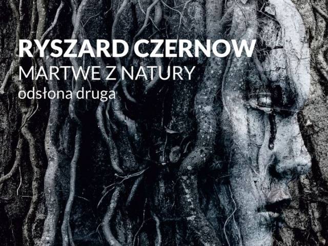 Martwe z natury – odsłona druga | Wystawa Ryszarda Czernowa