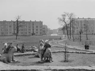 Widok parku, ok. 1963 r. Foto: Z. Kubski, ze zbiorów Muzeum Miejskiego w Tychach Autor: Zygmunt Kubski