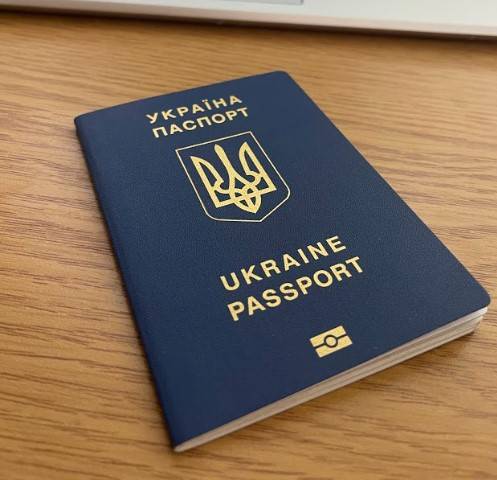 Застосунок паспорту в Дії при поверненні до України