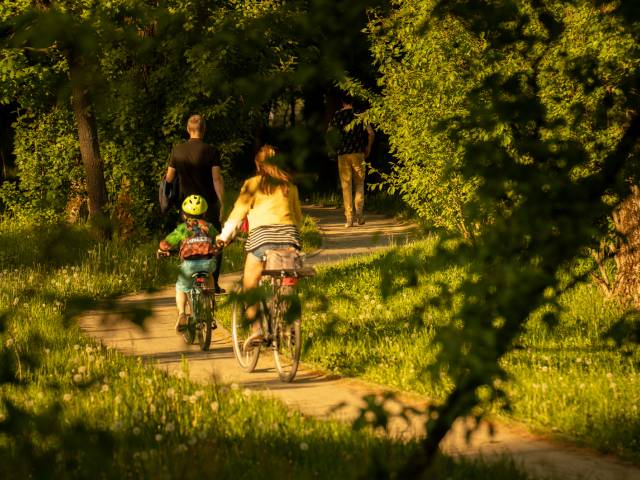 Rodzina na rowerze Park Północny