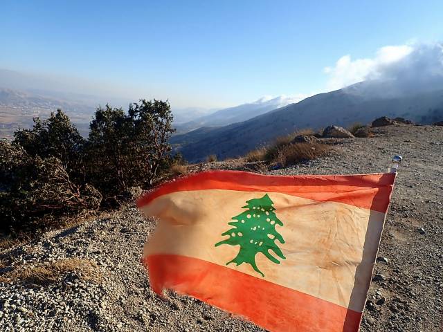 Wśród libańskich cedrów