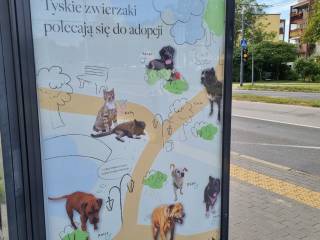Reklama na przystanku promująca kampanię miejskiego schroniska dla zwierząt "Adoptuj mnie"