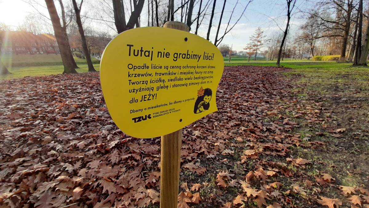 Miejsce dla jeży w tyskim parku Autor: TZUK