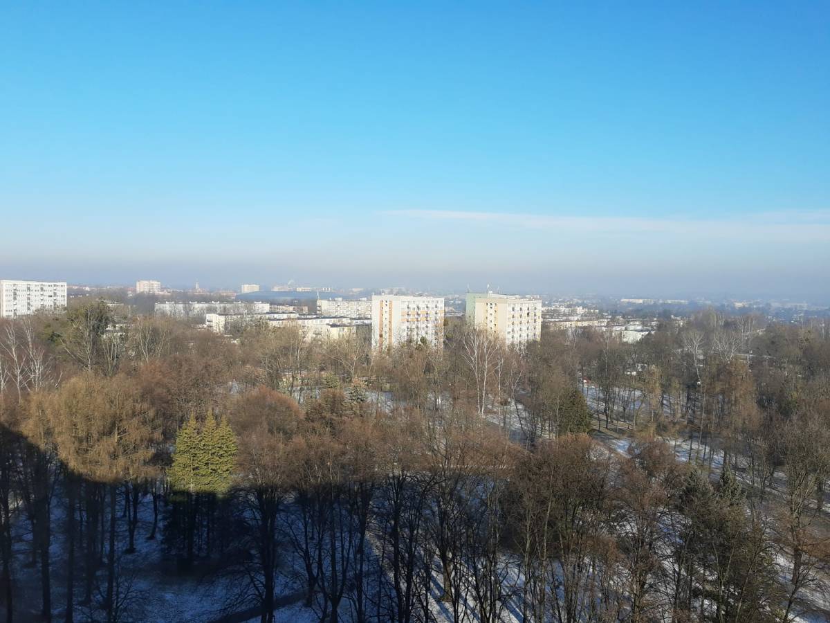 Tychy - widok na zimowy Park Miejski Solidarności