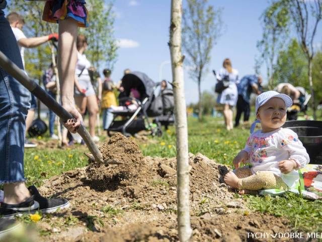 Посади дерево для своєї дитини