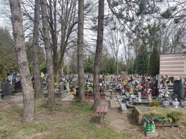 Cmentarz komunalny - groby