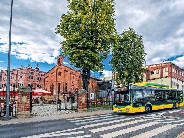 З 1 червня знову почне курсувати автобусний маршрут №65 Tychy Rynek – Tychy Colored Cmentarz 