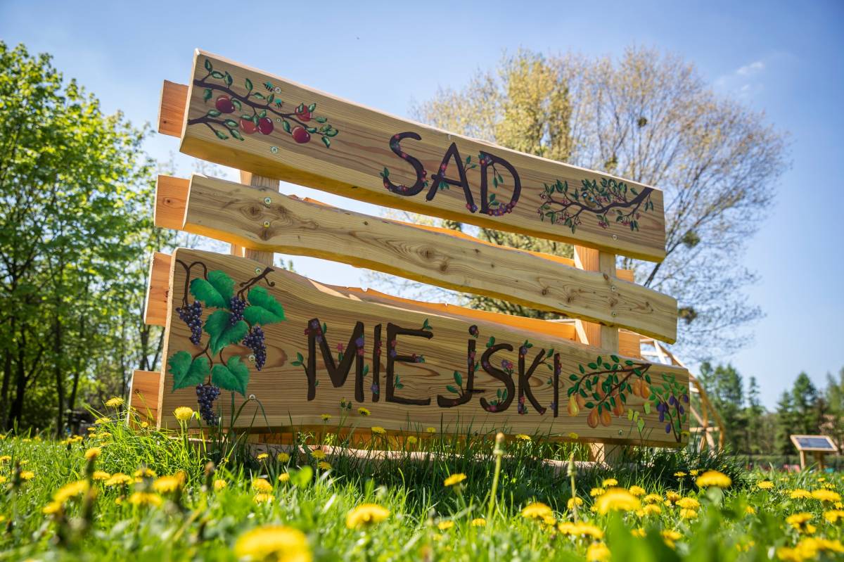 Drewniany płotek na łące z mleczami z napisem "Sad Miejski".