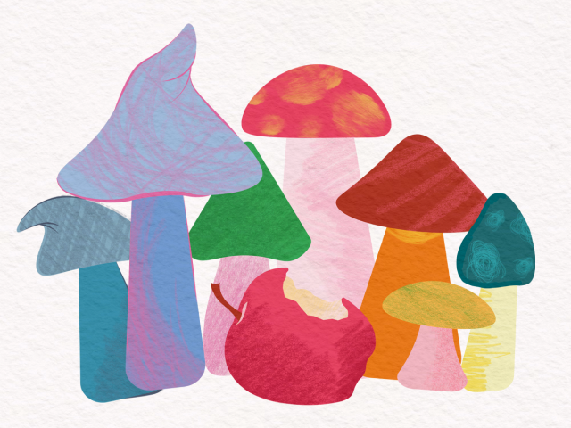 „Królewna Śnieżka i siedmiu krasnoludków”