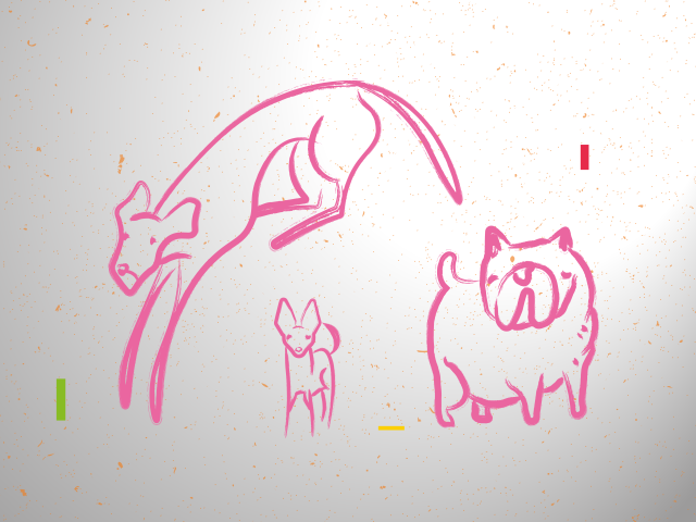 „PIES, który jeździł koleją”