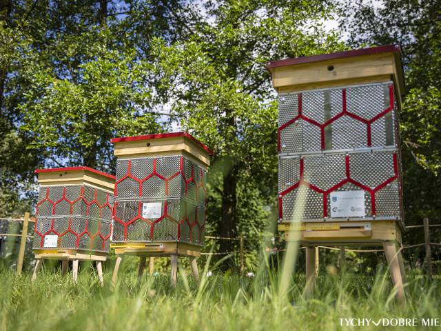 Miodobranie z uli z recyklingu – edukacja ekologiczna na słodko