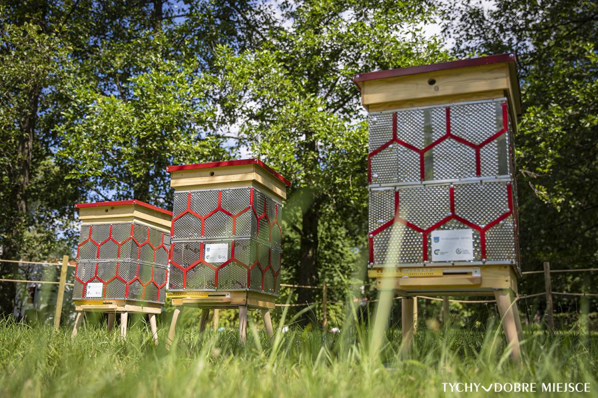 Trzy ule stoją na trwie, w tle widać drzewa.