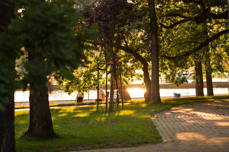 Rodzinny piknik na Paprocanach