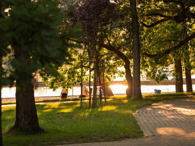 Rodzinny piknik na Paprocanach