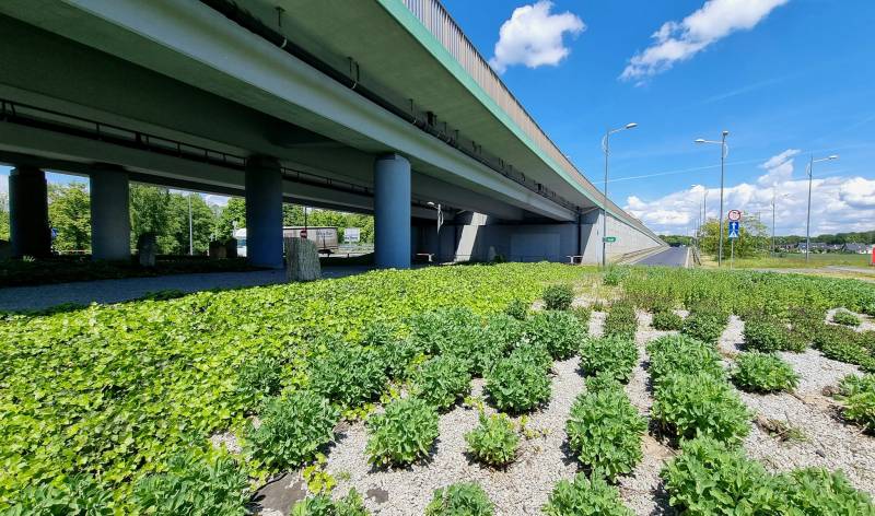 Nowe drogi, chodniki i ścieżki rowerowe – Tychy inwestują w infrastrukturę
