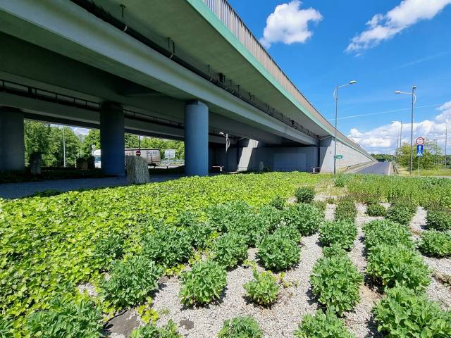 Nowe drogi, chodniki i ścieżki rowerowe – Tychy inwestują w infrastrukturę