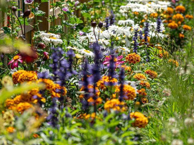 Mieszkańcy Tychów dla zieleni 