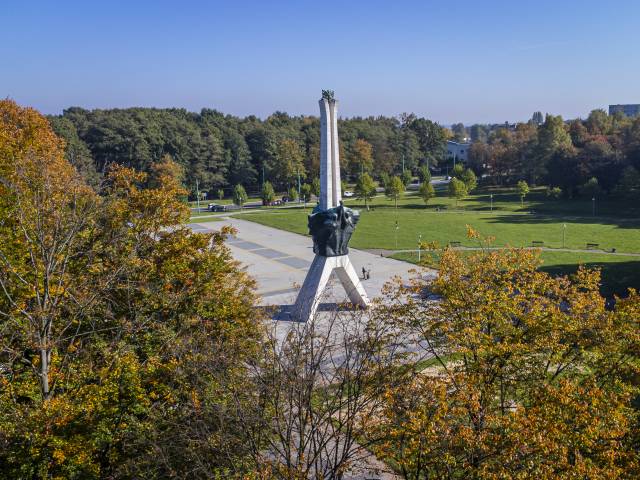 Dąb pamięci w Parku Solidarności