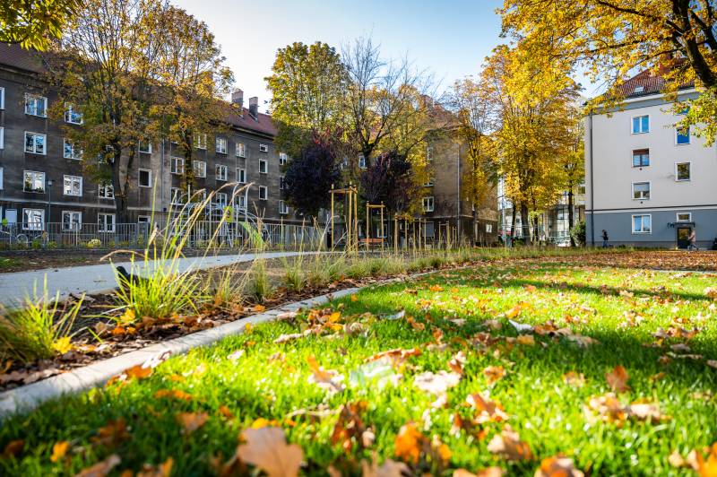 Nowe podwórko między Budowlanych, Bałuckiego i Bema