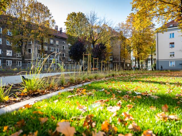 Nowe podwórko między Budowlanych, Bałuckiego i Bema