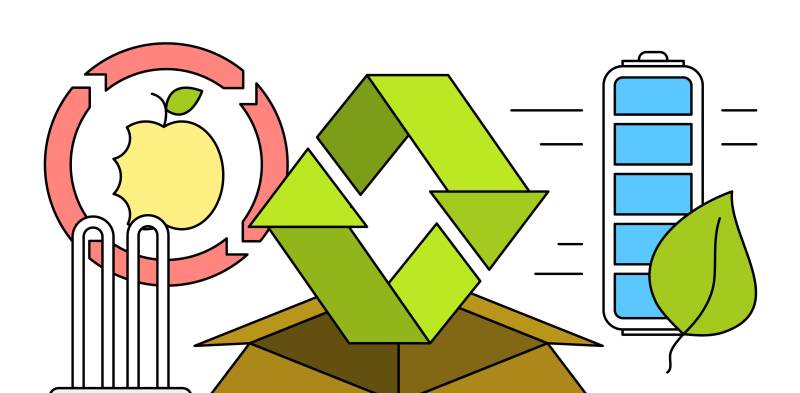 Nauka segregacji przez kolorowanie