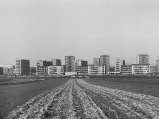 Pola uprawne. Osiedle D ul. Henryka Dąbrowskiego ul. Jarosława Dąbrowskiego, ok. 1967. Fot. Stanisław Kasperowicz. Zbiory Muzeum Miejskiego w Tychach
