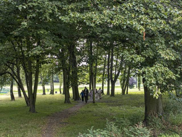 O mieście zielone pojęcie