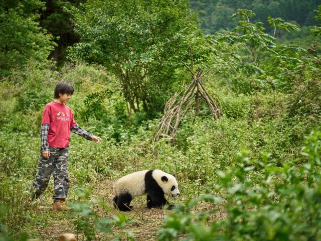 „Moon: Panda i ja” (2025)
