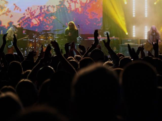 Rock pod Żyrafą 2026