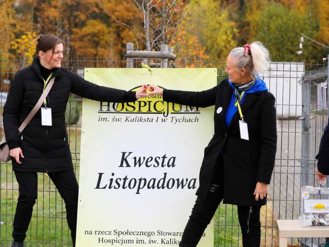 27. Kwesta Listopadowa na rzecz tyskiego hospicjum