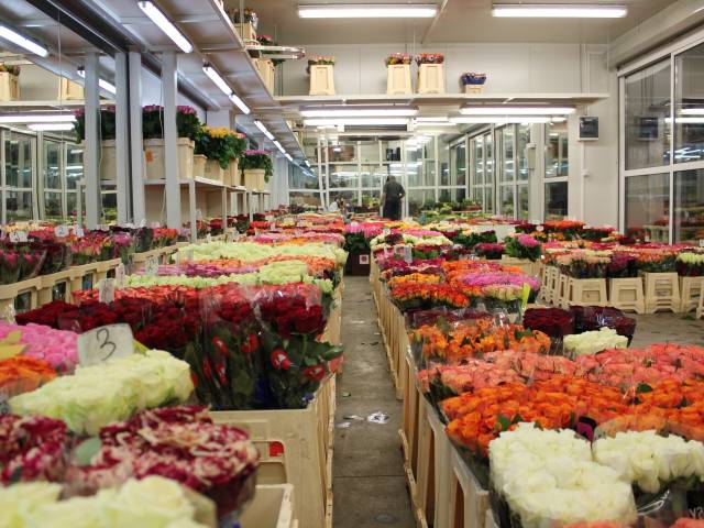 Silesian Flower Market