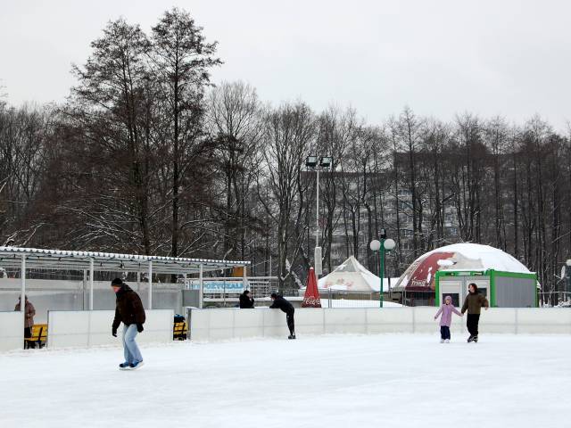 Seasonal ice rink -  Park Miejski przy Żyrafie