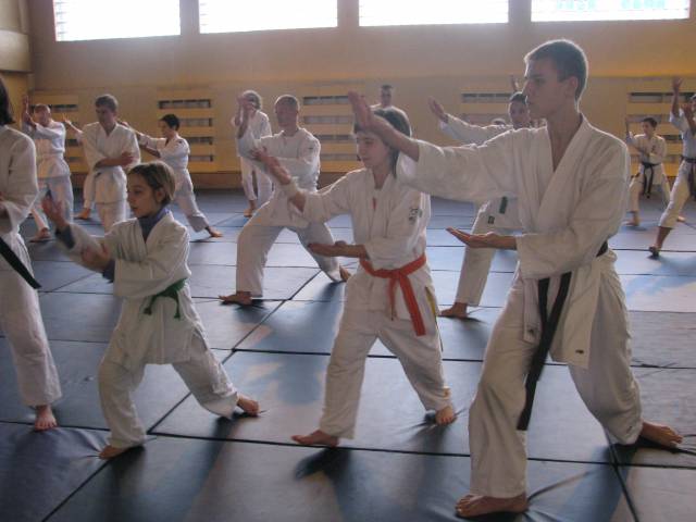 Europejska Federacja Yoshinkan Aikido 